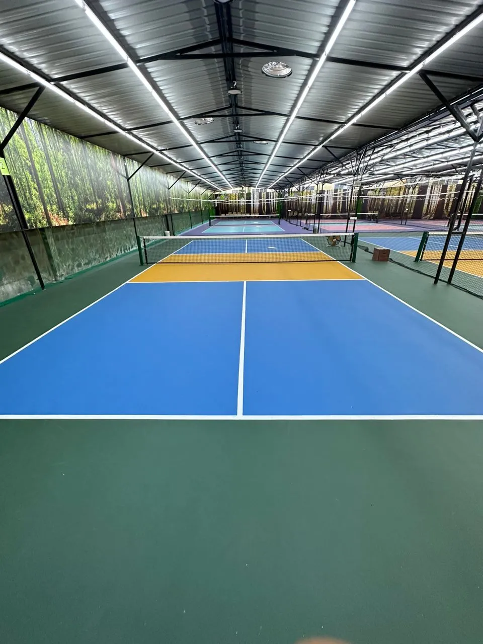 Ecosega Pickleball Park - photo 4