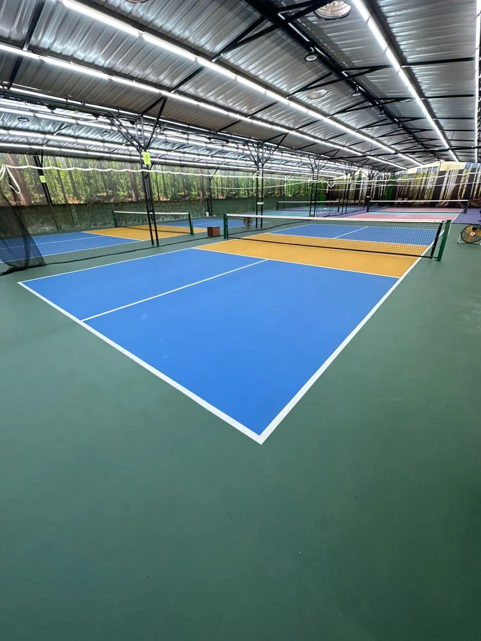 Ecosega Pickleball Park - photo 2