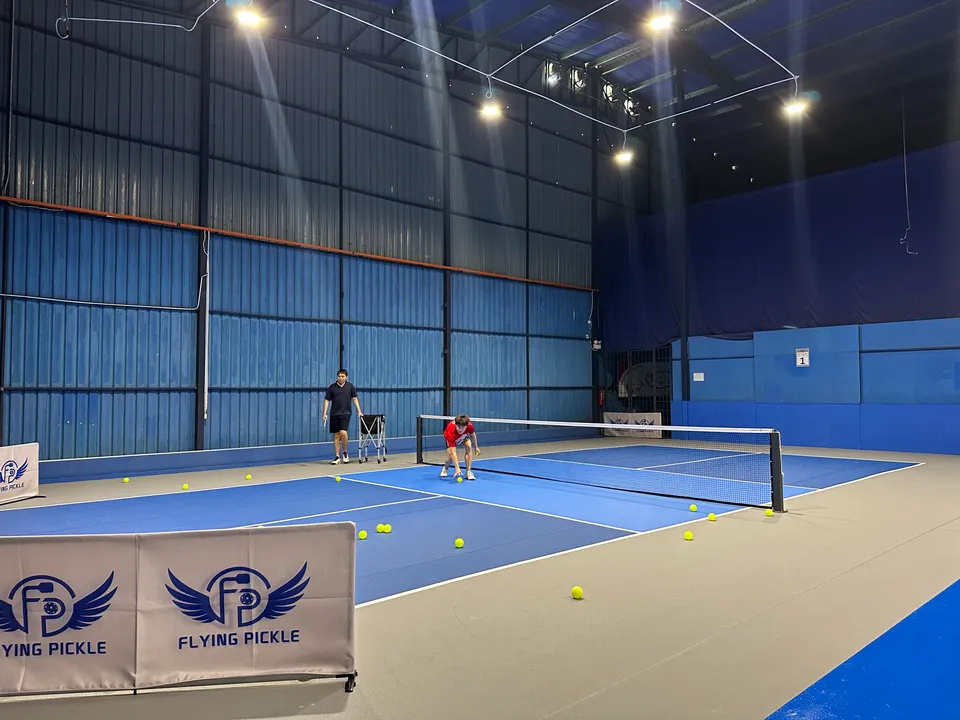 Flying Pickle - photo 5