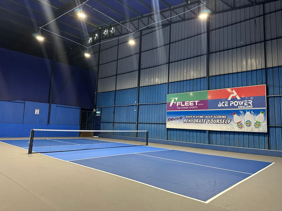 Flying Pickle - photo 2