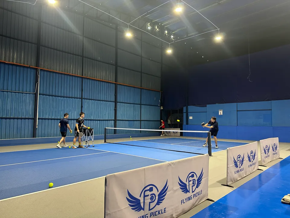 Flying Pickle - photo 4