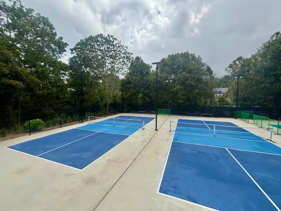 Genting View Pickle - photo 2