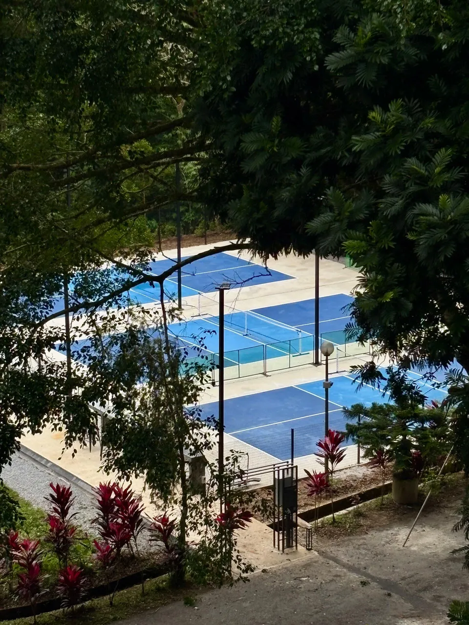 Photo 1 of Genting View Pickle