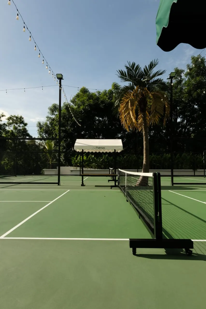 Las Palmas Pickleball Club - photo 5