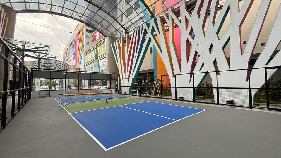 Photo 11 of myPickle Lifetime