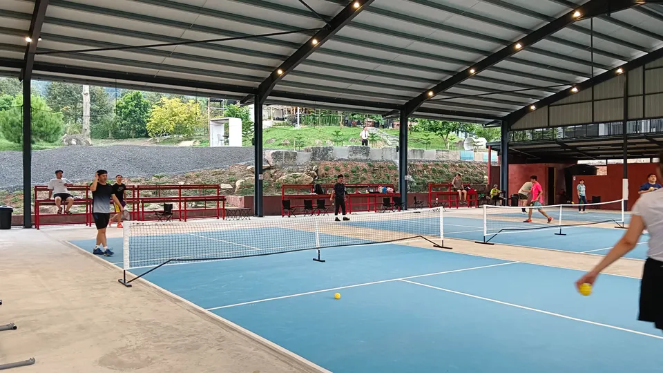 Pickeasy by Song Yan - photo 2