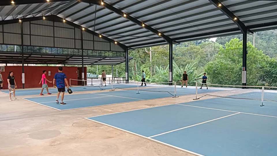 Photo 1 of Pickeasy by Song Yan