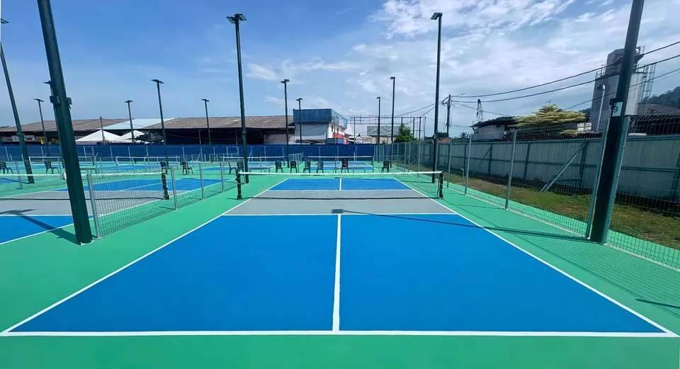 Photo 1 of Pickle Bee