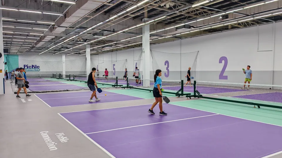 Pickle Connection - photo 3