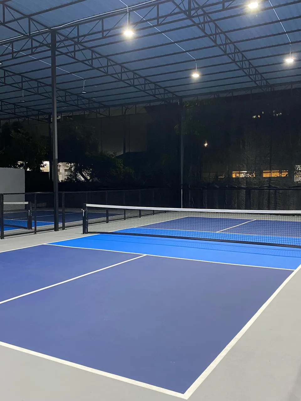 Pickle Power Puchong - photo 2