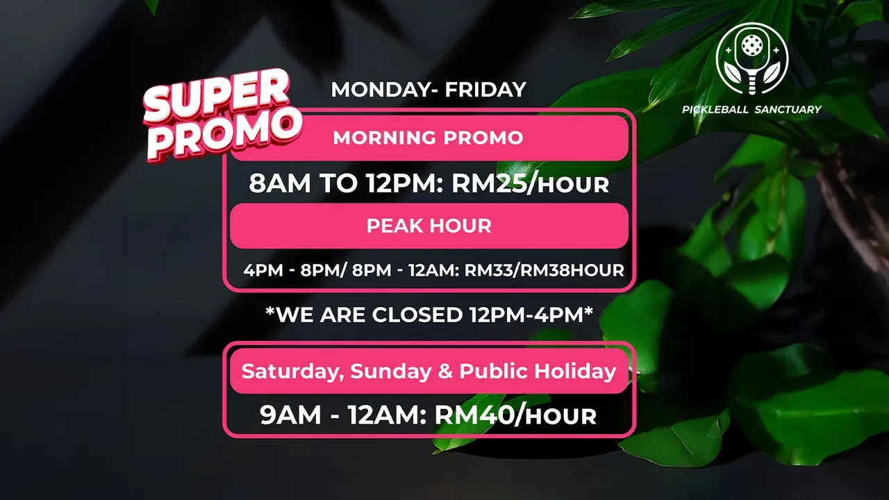 Pickleball Sanctuary - main photo