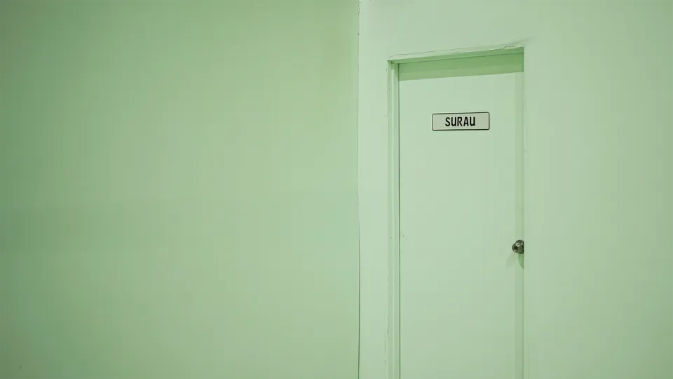 Photo 8 of The Pickle Fence